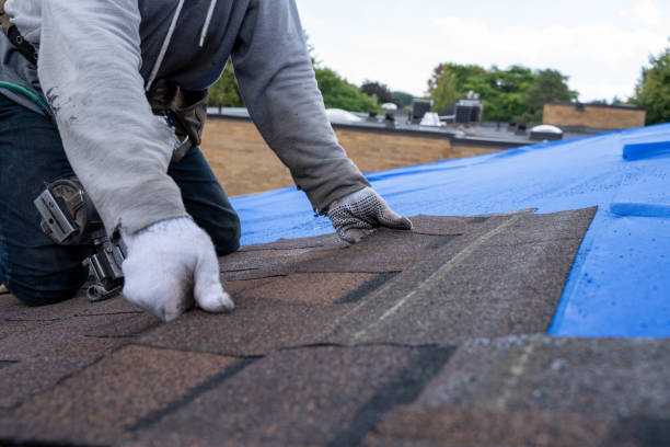 Best Green or Eco-Friendly Roofing Solutions  in West Long Branch, NJ